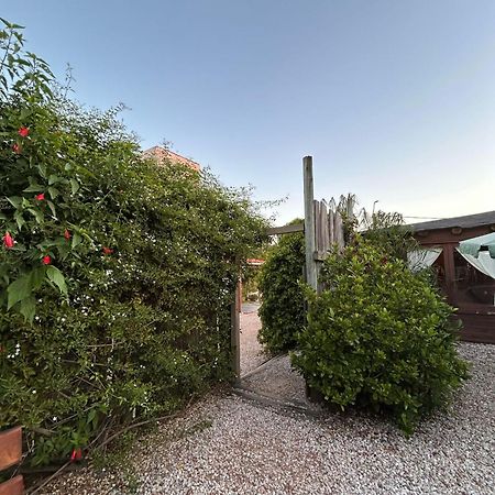 Posada Cova Del Sol 라 페드레라 외부 사진