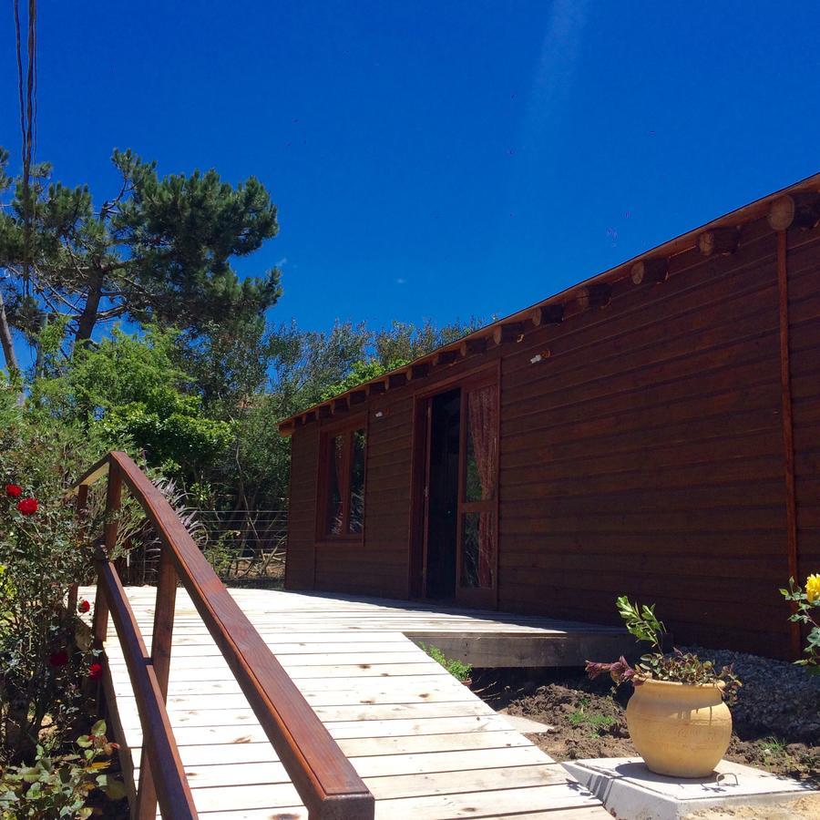 Posada Cova Del Sol 라 페드레라 외부 사진