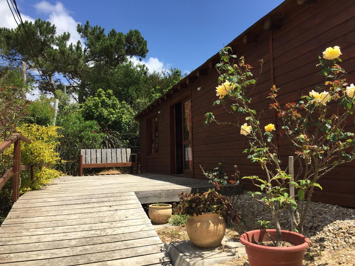 Posada Cova Del Sol 라 페드레라 외부 사진
